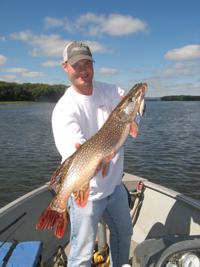 Angler holding up a large Northern Pike.