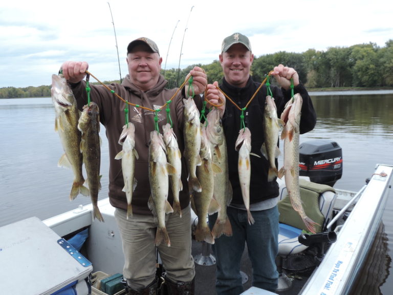 fishingmississippiriverwalleyelargecatch Ted Peck Fishing