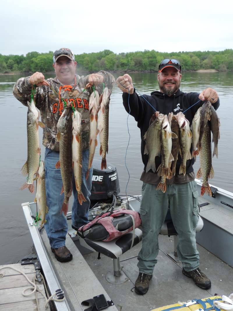 Two men with a great catch of Northern Pike and Walleye.