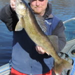 Ted Peck show off a massive walleye.