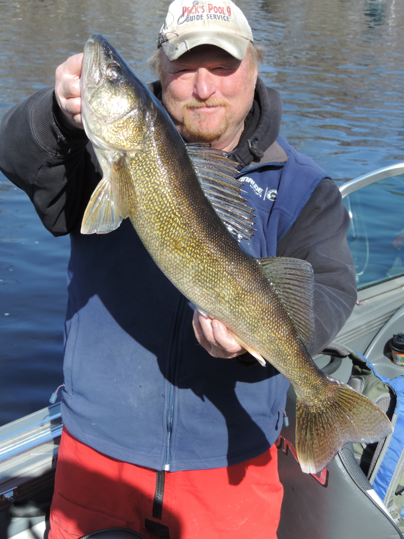 fishing-ted-peck-mississippi-river-walleye