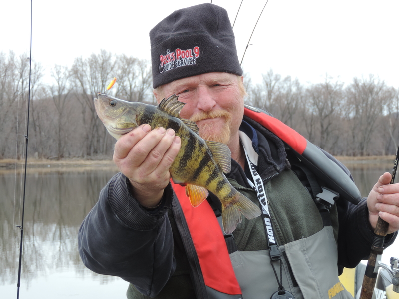 Ted Peck with a yellow perch.